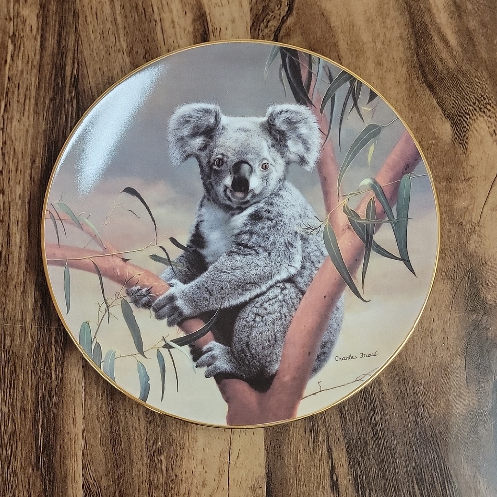 Koala Decorative Plate with Gold Trim
